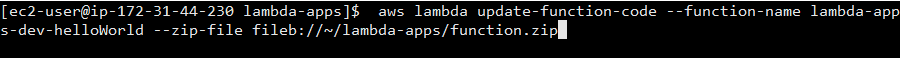 Update the lambda function